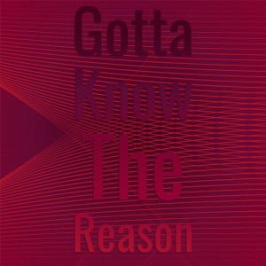 Listen to Gotta Know the Reason song with lyrics from Vern Brandon