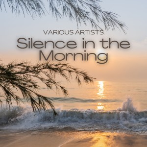Listen to Transcendental Music song with lyrics from Denis Moon