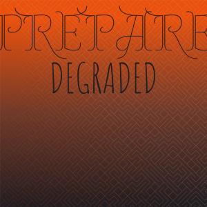 อัลบัม Prepare Degraded ศิลปิน Various