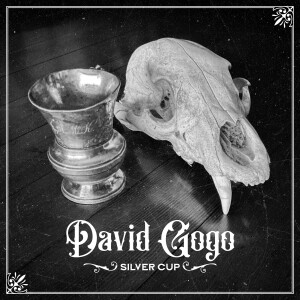 Listen to Old Enough To Know Better song with lyrics from David Gogo