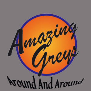 收聽Amazing Greys的Sally Can't Dance歌詞歌曲