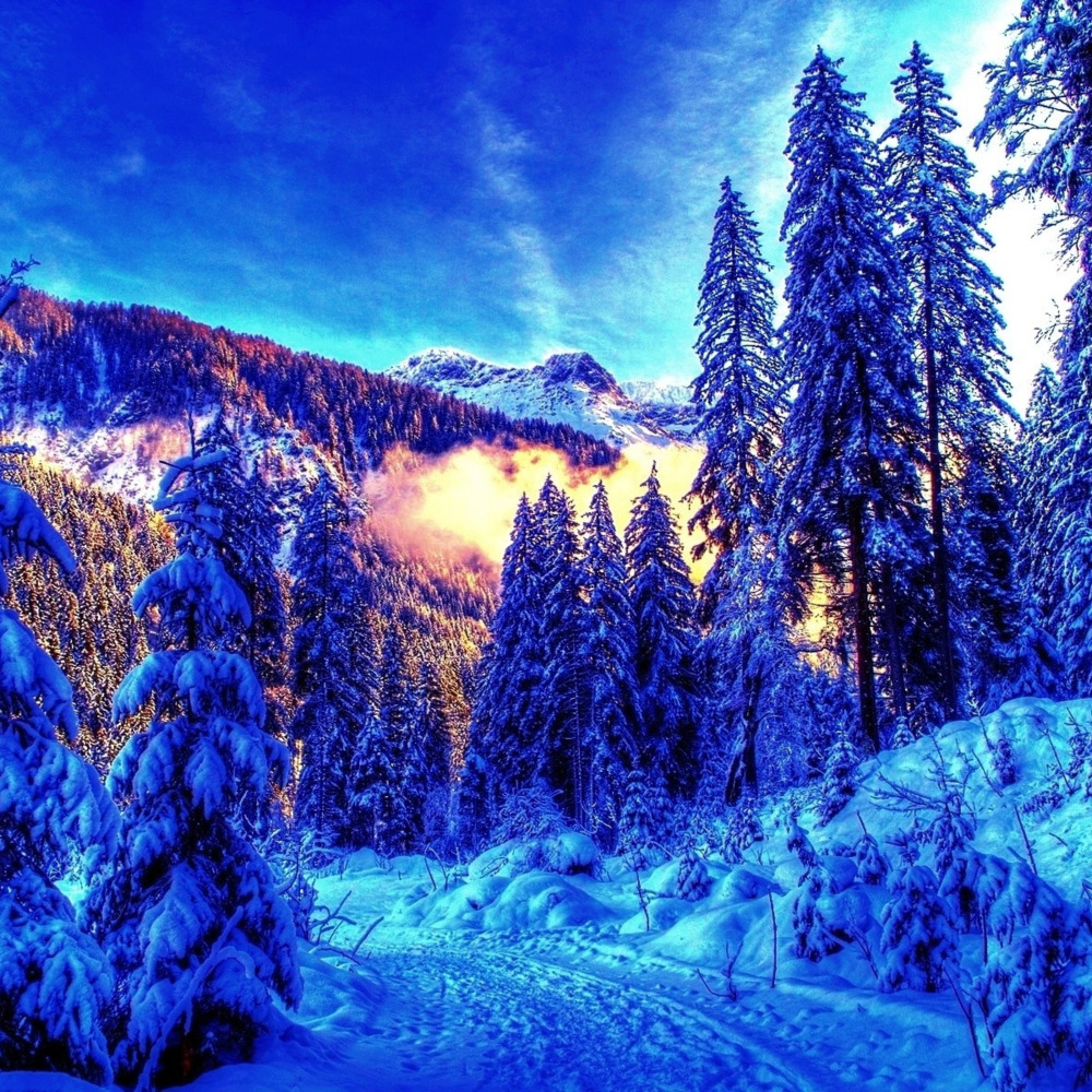 WINTER HOLIDAYS