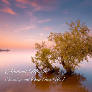 Deep Sleep Relaxation的專輯Ambient Music: Serenity and Deep Sleep Vol. 1