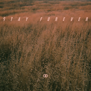 Stay Forever dari Ookay