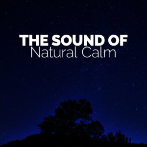 Bruits naturels的專輯The Sound of Natural Calm