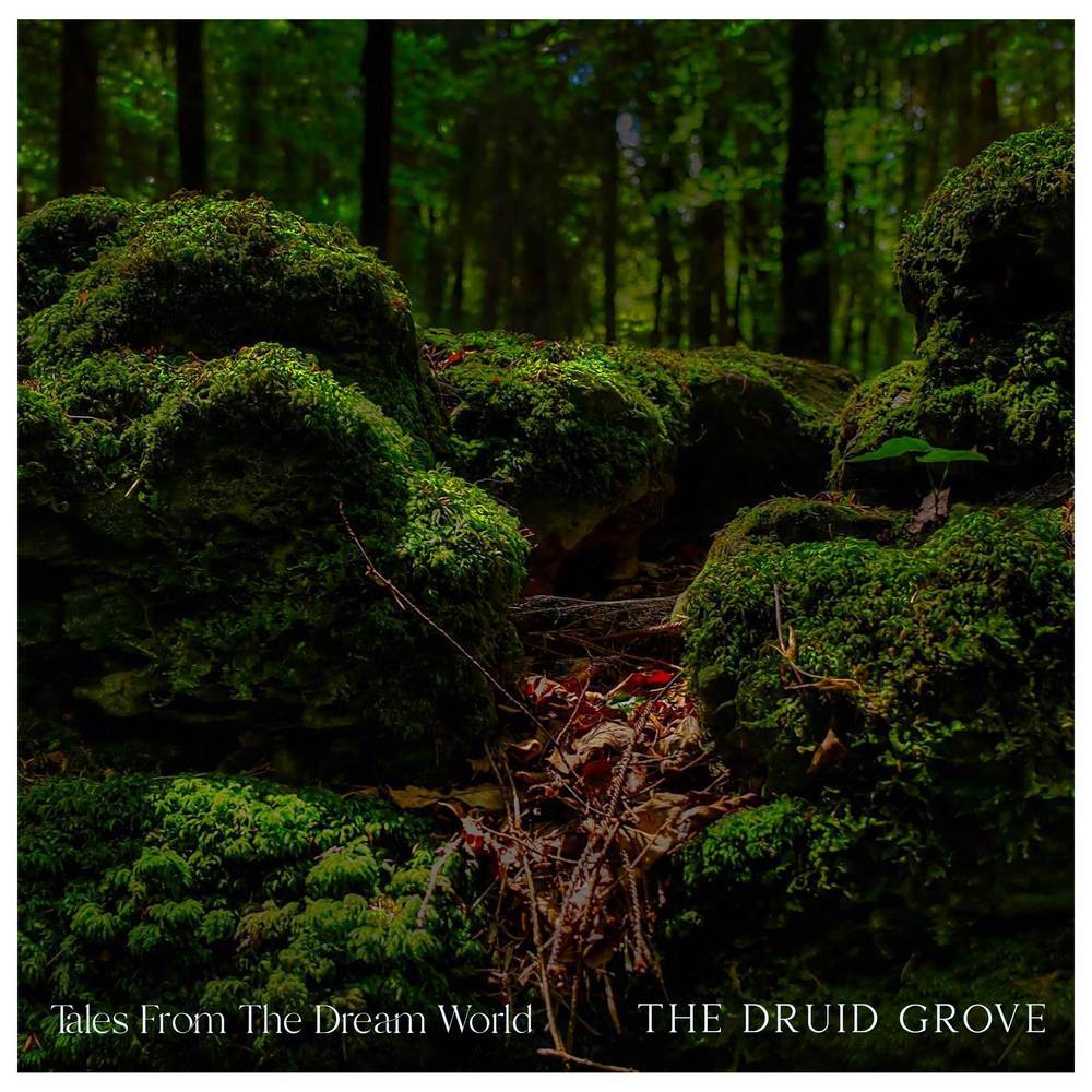 The Druid Grove (from "Baldur's Gate 2 Shadows of Amn")