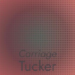 Various Artists的專輯Carriage Tucker