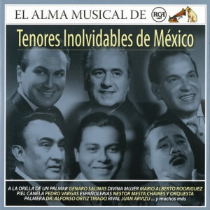 收聽Various Artists的Españolerías (Remasterizado)歌詞歌曲
