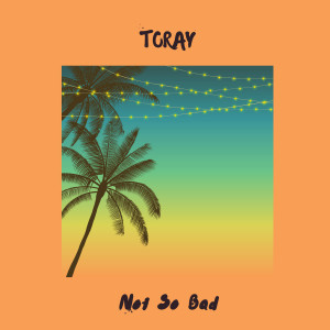 Listen to Not so Bad song with lyrics from Toray
