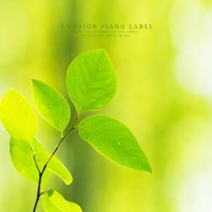 Album Natural Sounds And Piano Playing To Alleviate Loneliness (Nature Ver.) oleh Various Artists