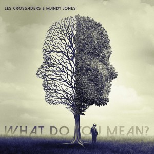 ดาวน์โหลดและฟังเพลง What Do You Mean? พร้อมเนื้อเพลงจาก Les Crossaders