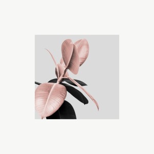 收听Ayelle的Body歌词歌曲