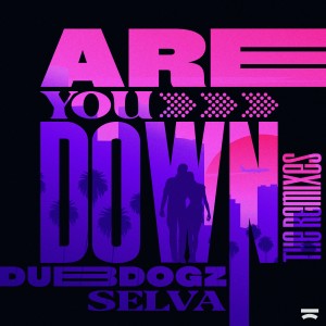 Dubdogz的專輯Are You Down (The Remixes)