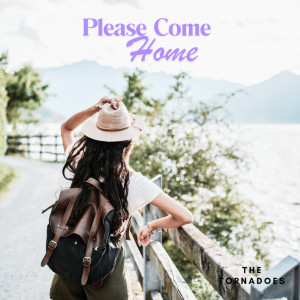 The Tornadoes的专辑Please Come Home