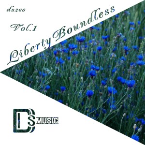 ดาวน์โหลดและฟังเพลง Fiery Love (Original Mix) พร้อมเนื้อเพลงจาก SolarFlow