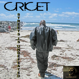 Album Streets Is Undefeated from Cricet