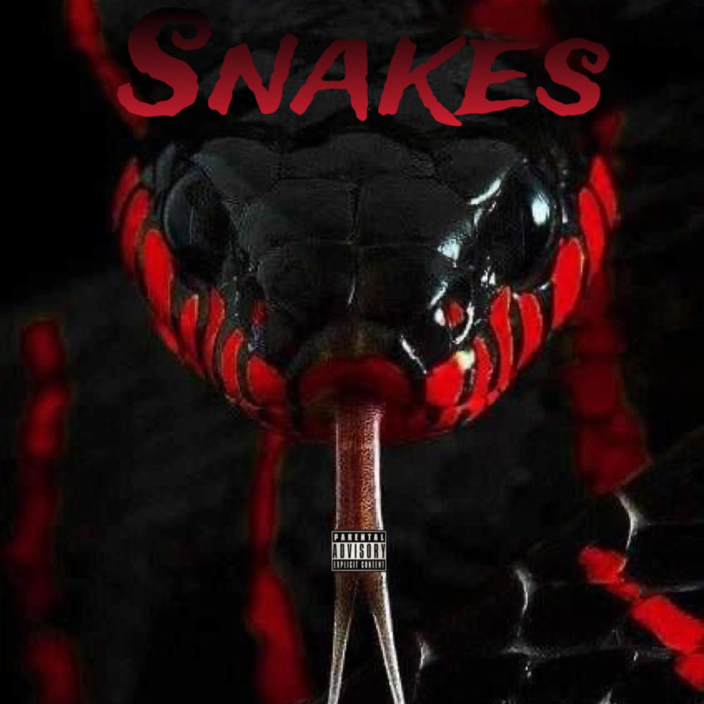 $nakes (Explicit)