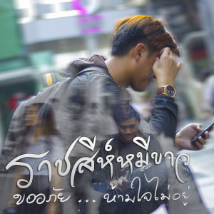 ดาวน์โหลดและฟังเพลง ขออภัยห้ามใจไม่อยู่ พร้อมเนื้อเพลงจาก ราชสีห์หมีขาว