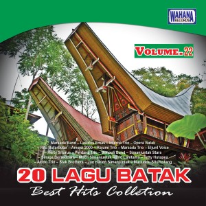 Various的专辑Best Hits Collection, Vol. 22