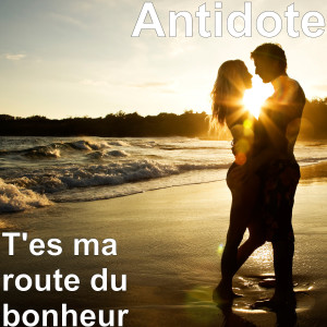 Listen to T'es ma route du bonheur song with lyrics from Antidote
