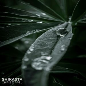 Chris Zippel的專輯Shikasta