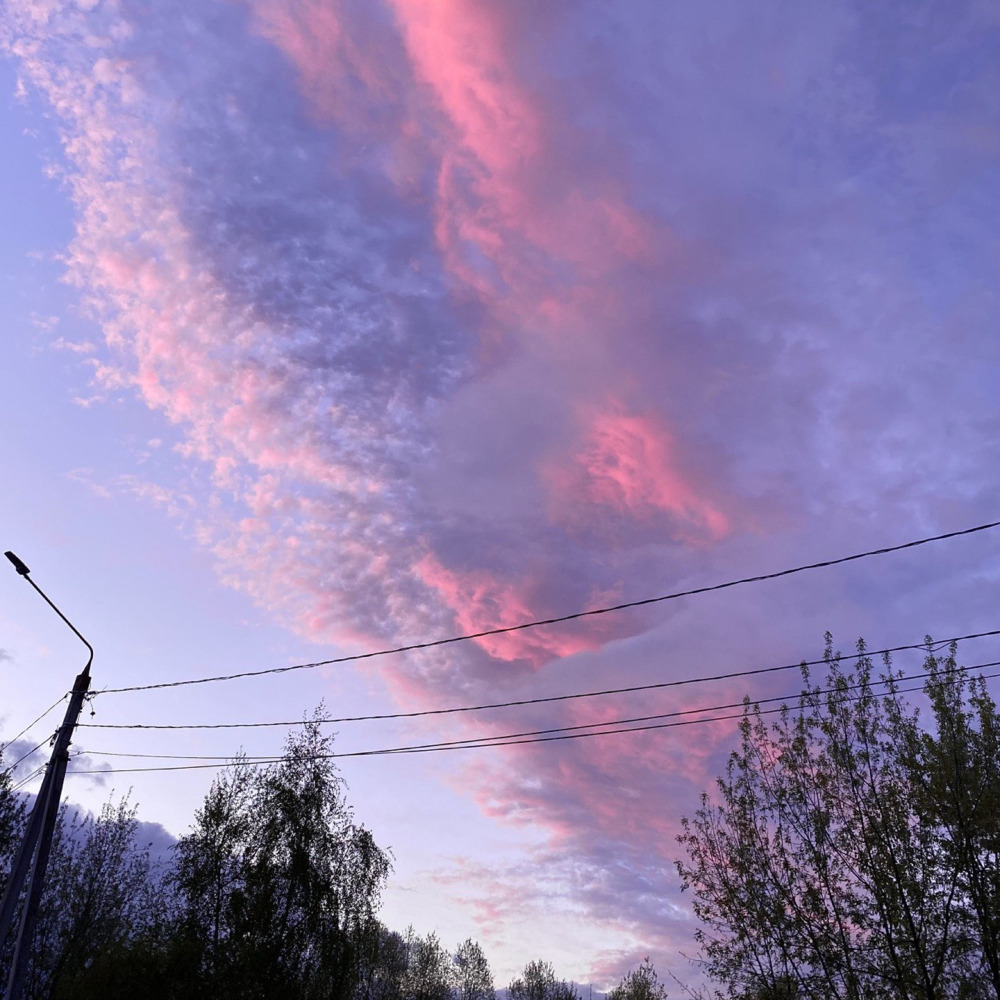 Феромоны