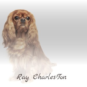 收听Chubby Checker的The Ray Charles-Ton歌词歌曲