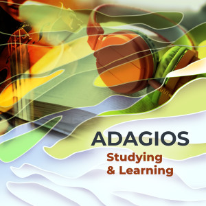 Various的專輯Adagios - Studying & Learning