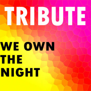 We Own The Night (Tiesto and Wolfgang Gartner Tribute)