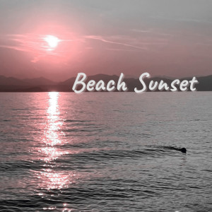 Edditter的專輯Beach Sunset