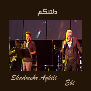 Listen to دلتنگم song with lyrics from Ebi
