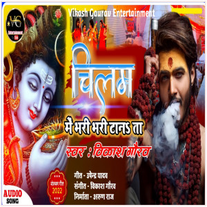 Listen to Chilam Me Bhari Bhari Tana Ta (Bhojpuri) song with lyrics from Vikash Gaurav