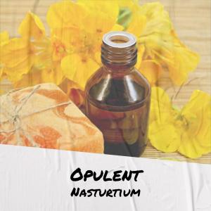 Album Opulent Nasturtium from Various Artists