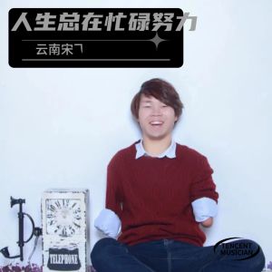 Album 人生总在忙碌努力 （DJ版） from 云南宋飞