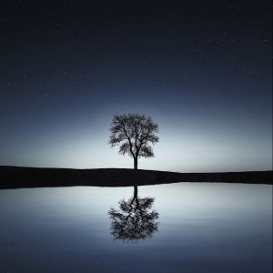 Listen to Relax Yourself to Sleep song with lyrics from Sleepy Times