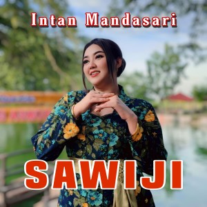 INTAN MANDASARI的专辑Sawiji