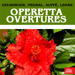 Listen to Overture song with lyrics from Prague Symphony Orchestra