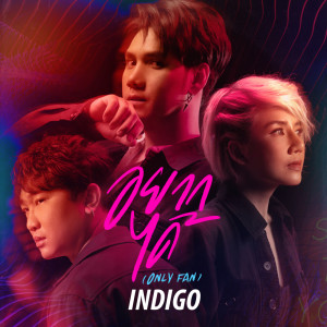 ดาวน์โหลดและฟังเพลง อยากได้ (Only Fan) พร้อมเนื้อเพลงจาก Indigo