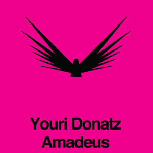 收聽Bjorn Wolf & Youri Donatz的Amadeus歌詞歌曲