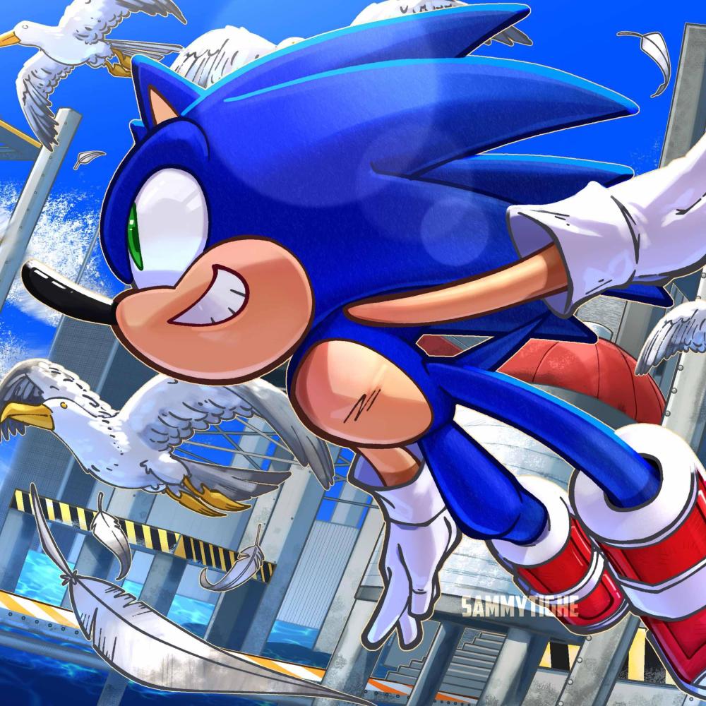 RUN!! (Sonic) (Explicit)