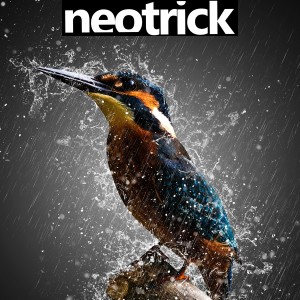 收聽Neotrick的Ascent歌詞歌曲