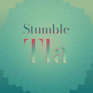 Various的专辑Stumble Tla