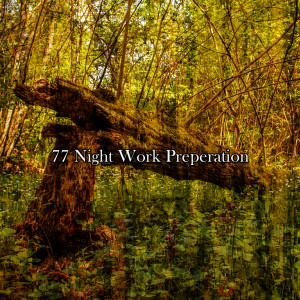 Album 77 Night Work Preperation from Lounge relax