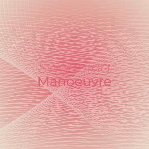 收聽Asiah Nibon的Swooning Manoeuvre歌詞歌曲