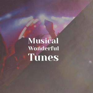 Various的专辑Musical Wonderful Tunes