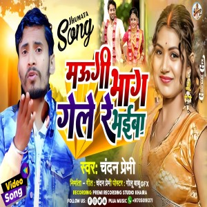 Album Maugi Bhag Gele Re Bhaiba from Chandan premi