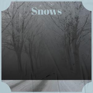 Various的专辑Snows