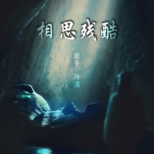 DjLg的专辑相思残酷(DJ版)