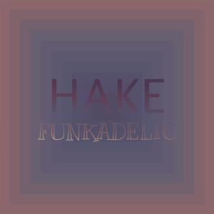 Various的专辑Hake Funkadelic