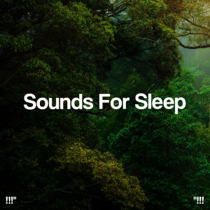 Sleep Sounds of Nature的专辑"!!! Sounds For Sleep !!!"